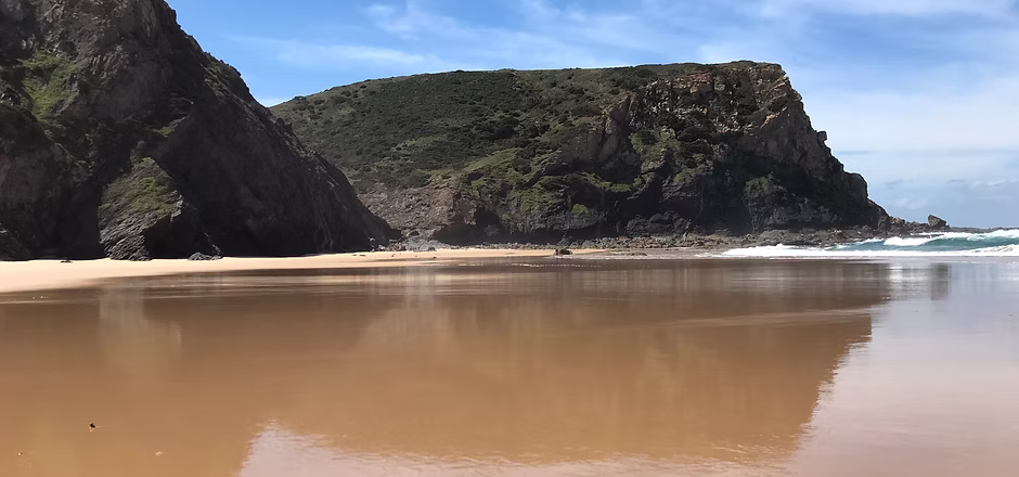 A wide sandy cove backed by a green headland